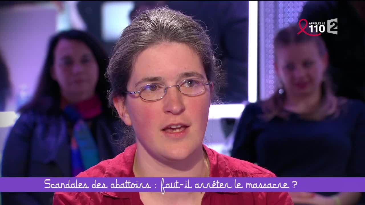 Scandales des abattoirs : faut-il arrêter le massacre ? - Ce soir (ou jamais !) - 01/04/16 (3/6)