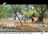 شام قناة المستقبل تقرير عن موسم قطاف الزيتون في ريف ادلب