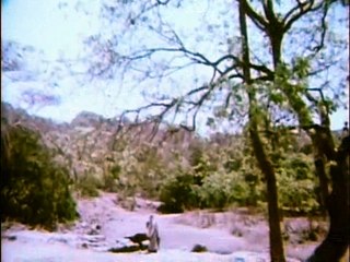 Saawan Ke Jhoole Pade Tum - Amitabh Bachchan - Rakhee Gulzar - Jurmana - Lata Mangeshkar