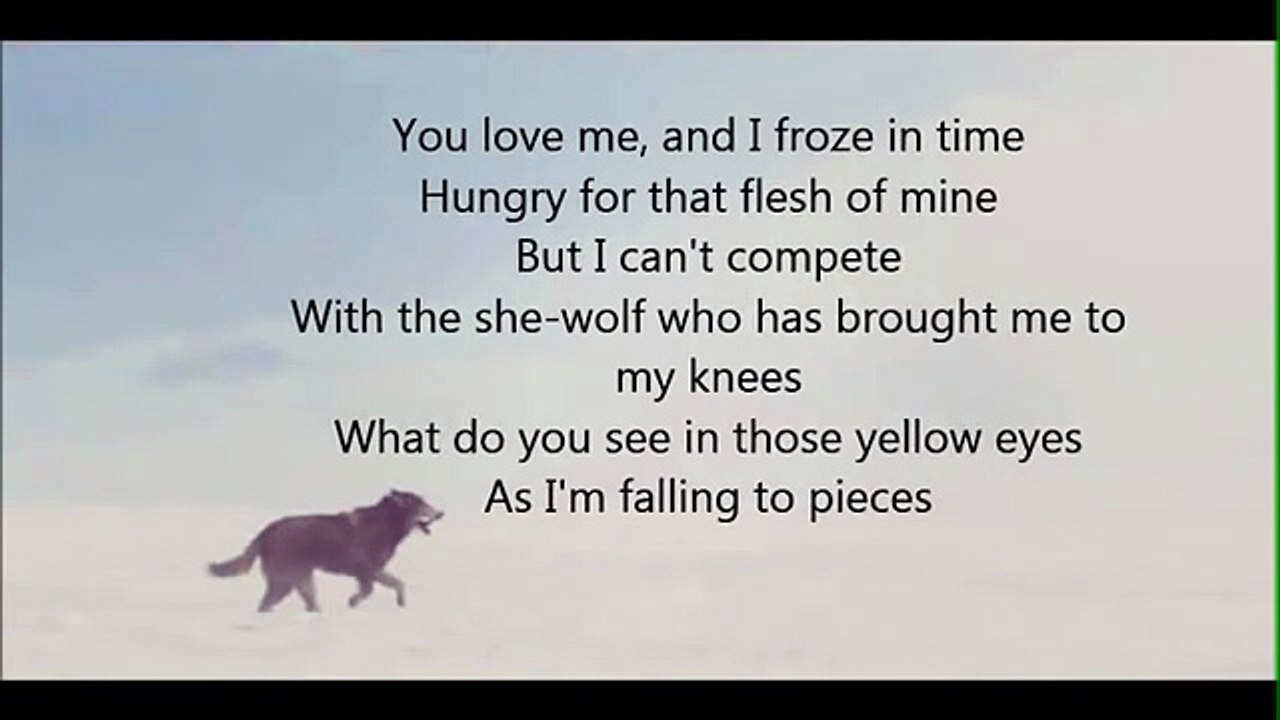 David Guetta - She wolf LYRICS HD
