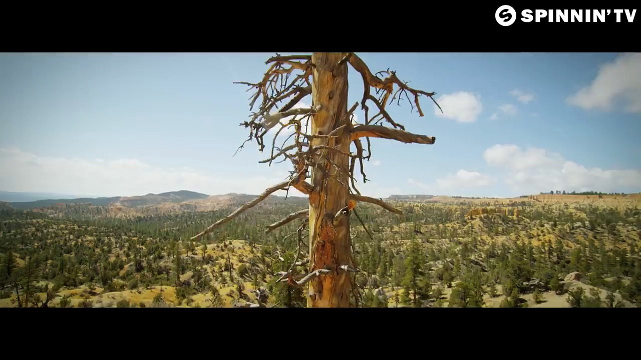 steps-aevion feat oisin