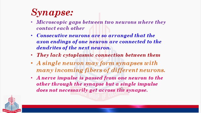 Synapse and Neurotransmitters