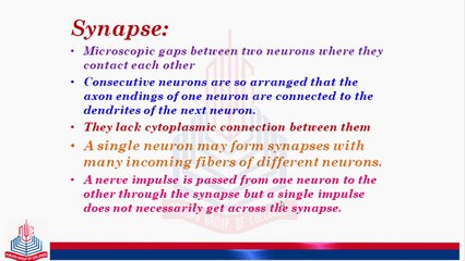 Synapse and Neurotransmitters