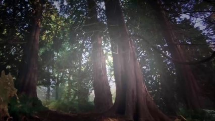 Ella Enchanted Movies 2004 - Anne Hathaway part 03