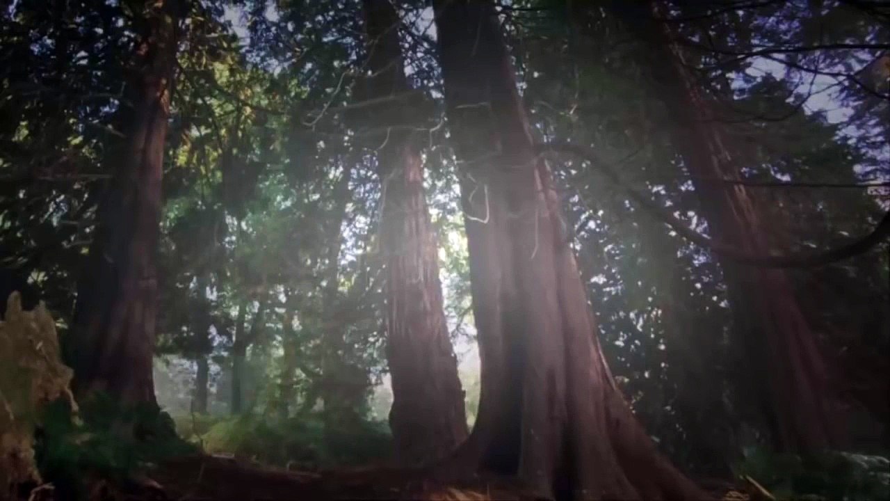 Ella Enchanted Movies 2004 - Anne Hathaway part 03