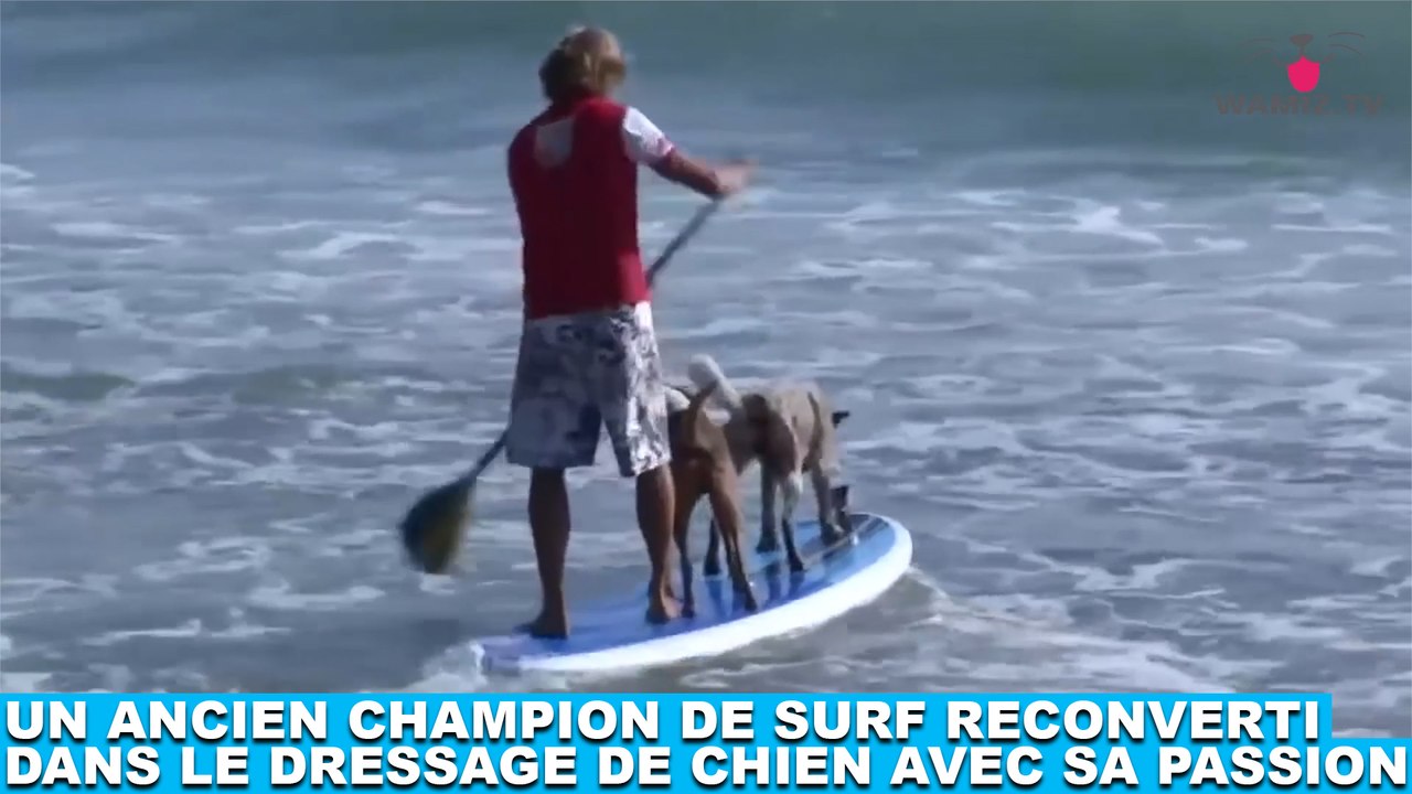 Un ancien champion de surf reconverti dans le dressage de chien avec sa passion ! Découvrez-le dans la minute chien #179