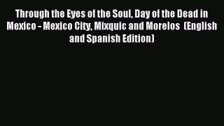 Read Through the Eyes of the Soul Day of the Dead in Mexico - Mexico City Mixquic and Morelos