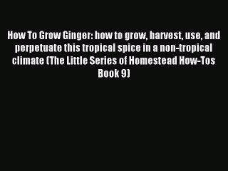 Read How To Grow Ginger: how to grow harvest use and perpetuate this tropical spice in a non-tropical