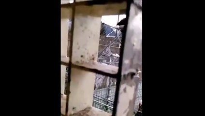 Un prisonnier s'évade en escaladant le grillage de la prison