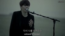 Park Hyo Shin ~ Wild Flower MV [Sub español hangul]