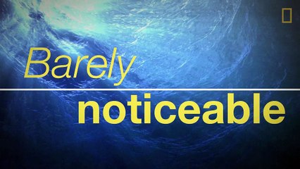 What Are Tsunamis? Causes and Impact 🌊