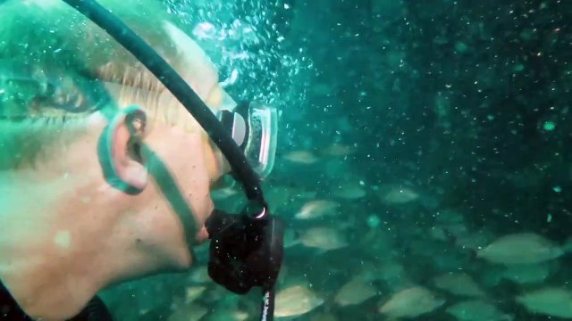 Shark Diving on the Caribsea 2015 - Outer Banks, North Carolina