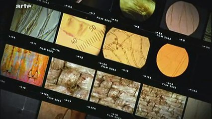 ENQUETE SUR LE SAINT SUAIRE