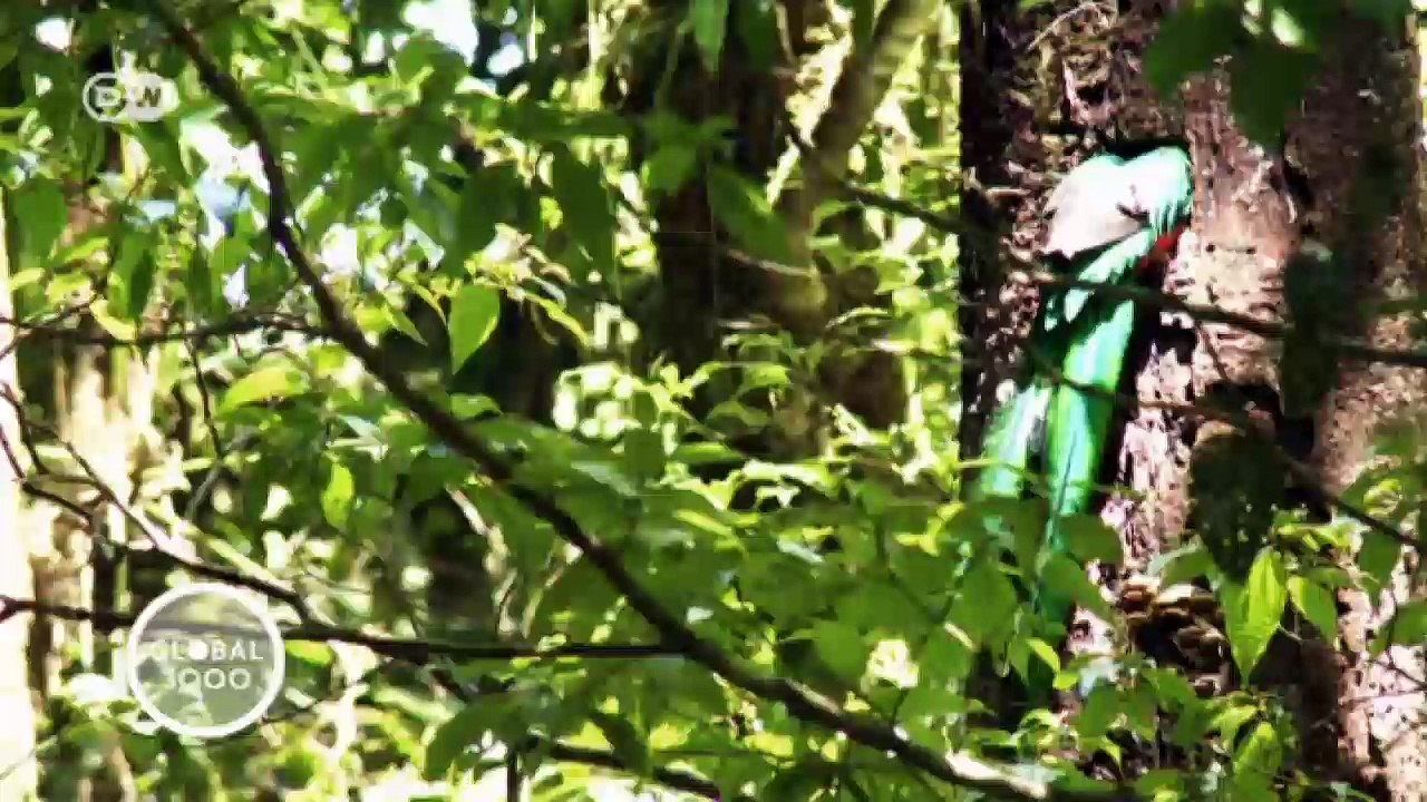 Costa Rica und seine Biokorridore | Global 3000