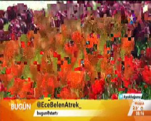 Sancaktepe'de Lale Festivali-Star Tv