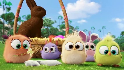 THE ANGRY BIRDS   2016 Movie  The HATCHLINGS