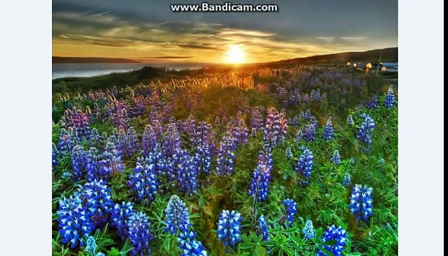 Hame Kaash Tumse Muhabbat Na Hoti Lata Mangeshkar DIGITAL AUDIO Mughal E Azam