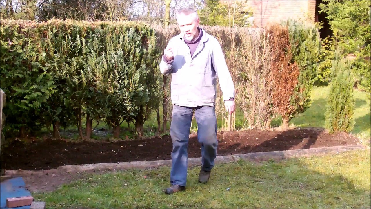 Mein Bio-Beet (3.Apr. ´16) oder EkkE live . . .