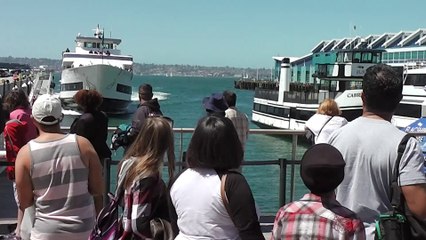 Whale Watching Boat Crashing Into San Diego Dock