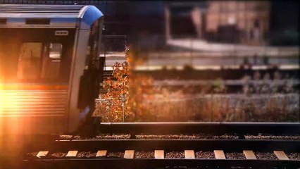 Looking For Best Hotels In Dubai-Bookbestrate.com