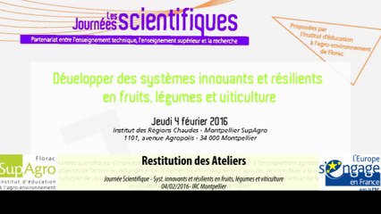 Restitution des ateliers : Méthodologie de construction d'un système de cultures innovant