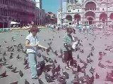St Mark's Square Pigeons