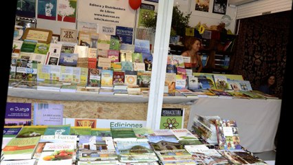 Open-air Market @ Rototom Sunsplash 2015