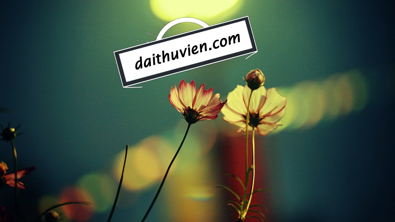 Hướng Dẫn Python Basic Bài 006 - Assignments