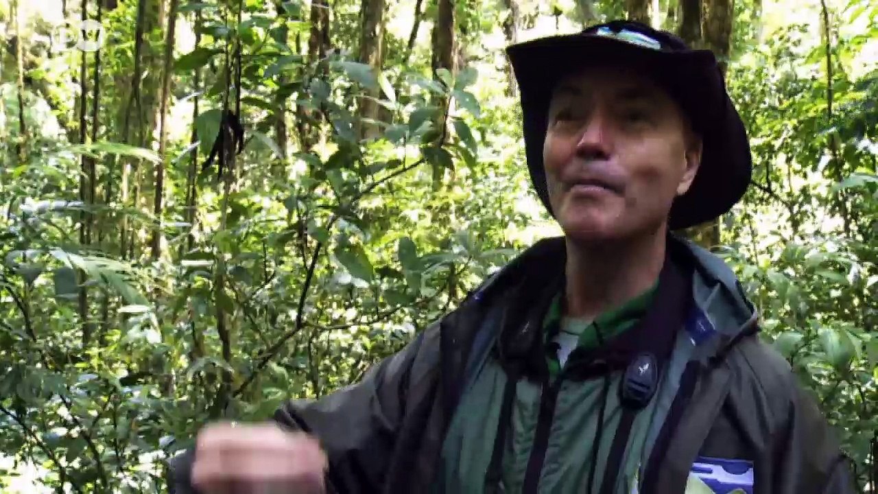 Wie ein roter Faden für Costa Ricas Arten | Wissen & Umwelt