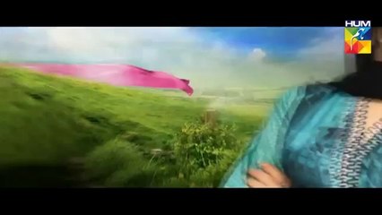 Haya Kay Daman Main episode 2 Full HUM TV Drama 31 March 2016