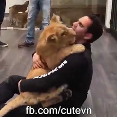 Aslan ve Bakıcısı Arasında Duygusal Bağ