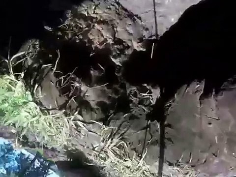 Foundation Repair Houston Texas Review, Call 281-255-4949, Concrete Contractor Houston TX