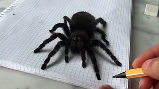 İnanılmaz Gerçekçi 3 Boyutlu Örümcek Çizimi Yok Böyle Bir Şe