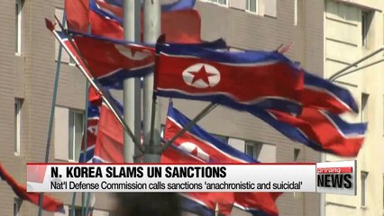 Video herunterladen: N. Korea slams UN sanctions, calls on U.S. to seek talks