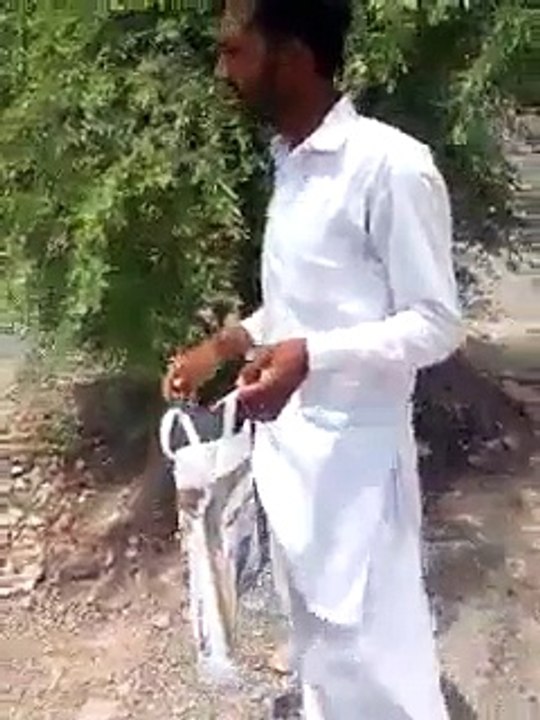 Mobile darakht pe