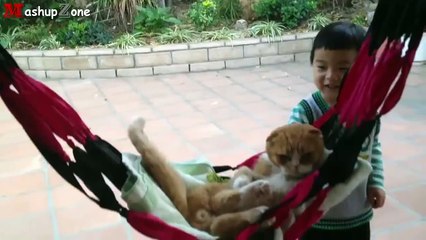 funny cats kids - Funny Cats Acting Like Humans