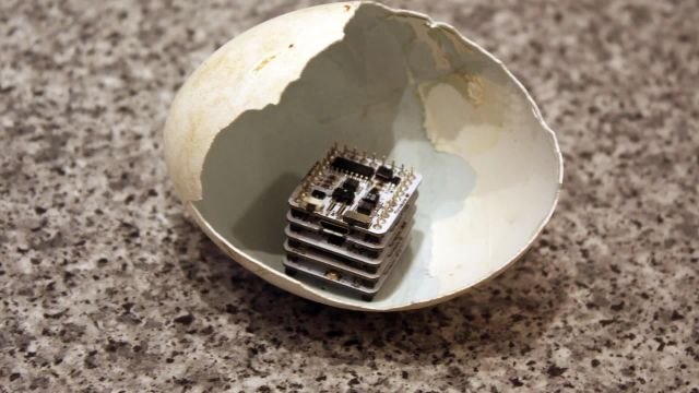 3D-Printed Egg Could Help Save Endangered Birds