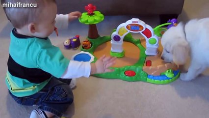 funny cats lol try not to laugh - Kittens And Puppies Playing With Babies