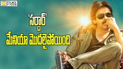 Sardaar Gabbar Singh Mania In Pawan Kalyan Fans - Filmyfocus.com