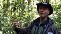 Connecting Costa Rica's wildlife | Environment