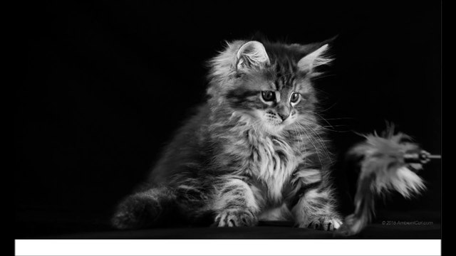 사상출장안마 010-2151-7309 부산전지역 가능