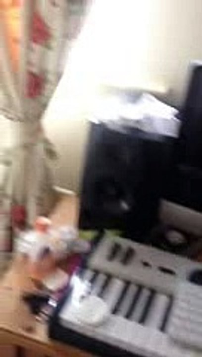 german shepherd sleeping, big dog in bed, sleeping dog