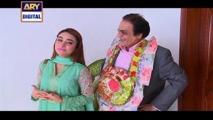 Watch Bulbulay Episode - 365 - 4th April 2016 on ARY Digital