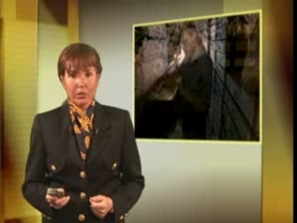 Les Fossiles Réfutent la Théorie de L'Évolution