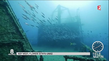 une exposition sous-marine sur une épave du 04/04/2016