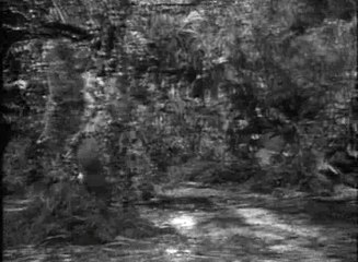 Bangla three stooges cd-2 part 20