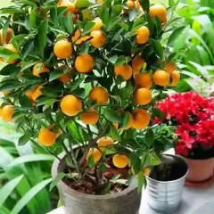 VID-20160404-WA0055.mp4