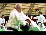 Técnicas de Karate Shito Ryu