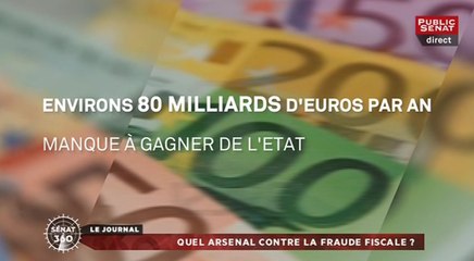 Sénat 360 : "Panama Papers" : Un scandale mondial de fraude fiscale / Dans les pas d'Annick Billon / Procès xynthia : prison avec sursis pour l'ancien maire (04/04/2016)