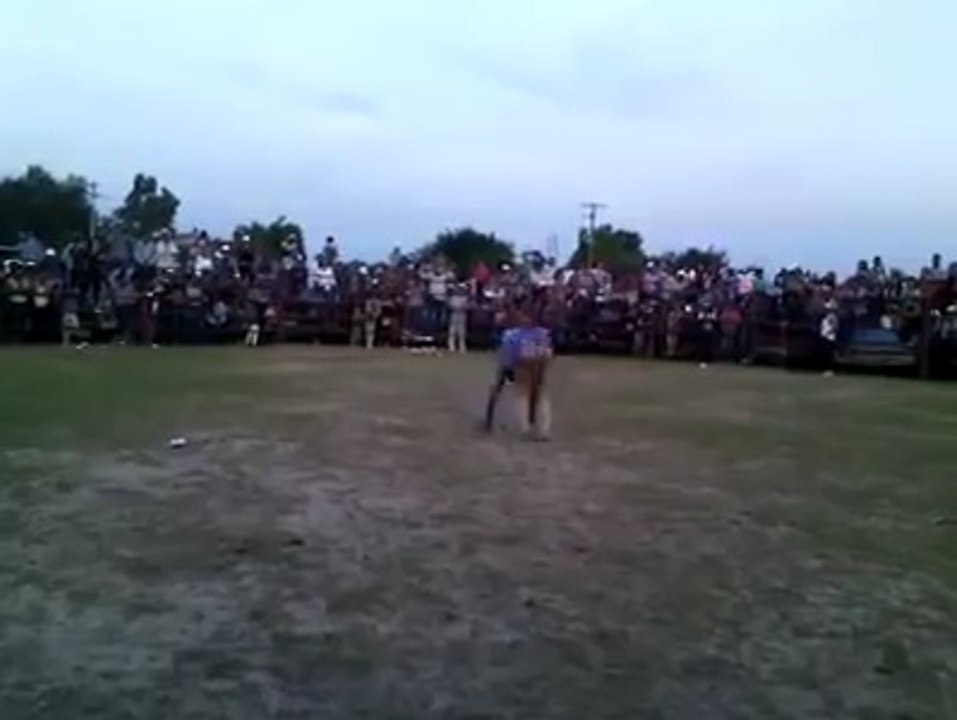 Best Funny Fails